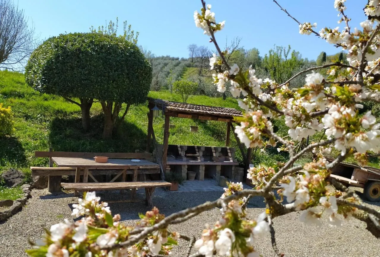 Casa Elisa Apartment Montaione Italy